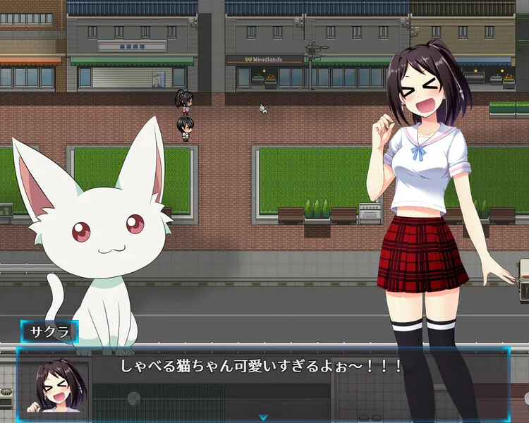 光樱闪姫普利塞 Steam 游戏画面 4
